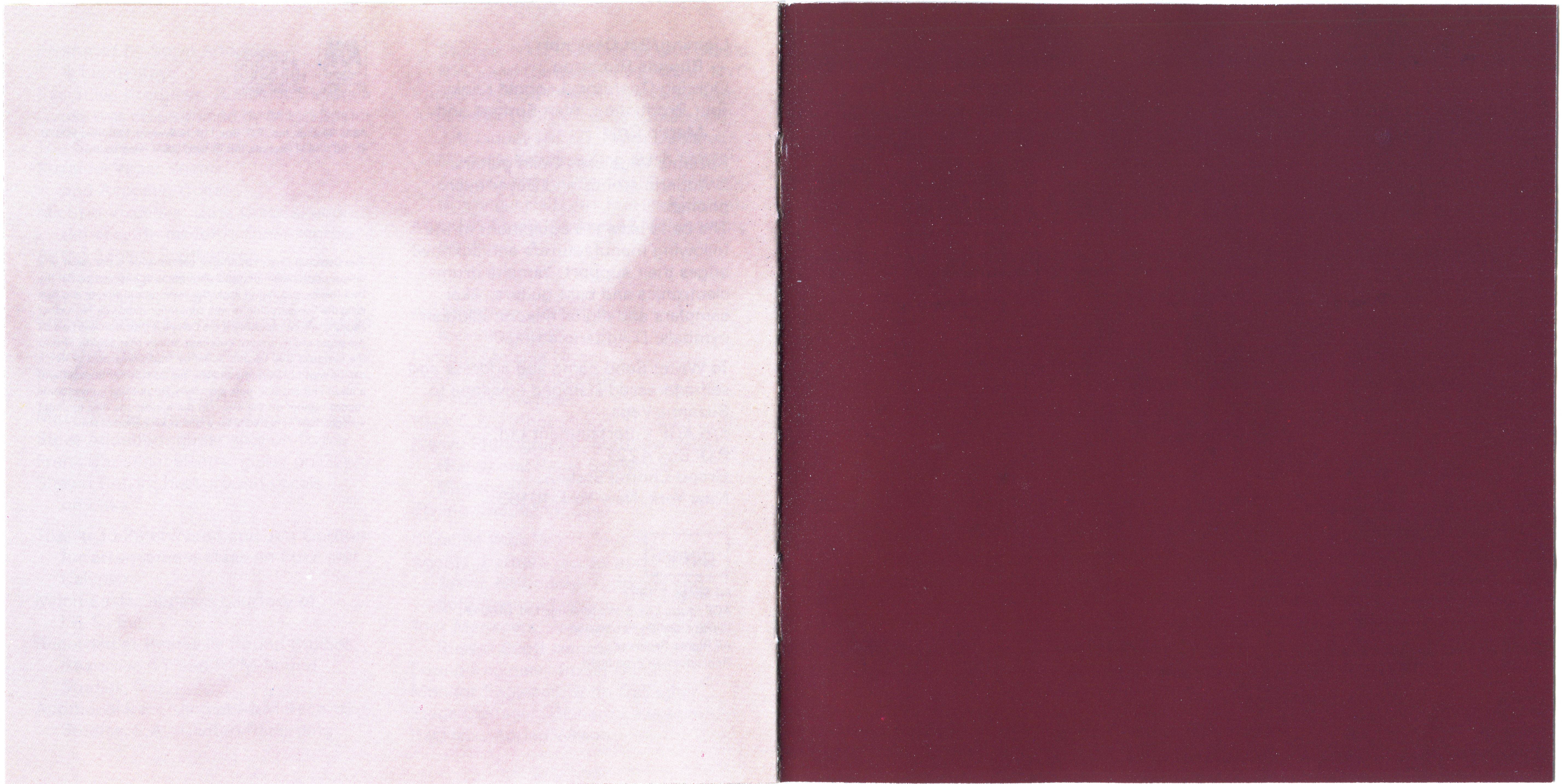 Suzanne Vega  Solitude Standing : Booklet 7